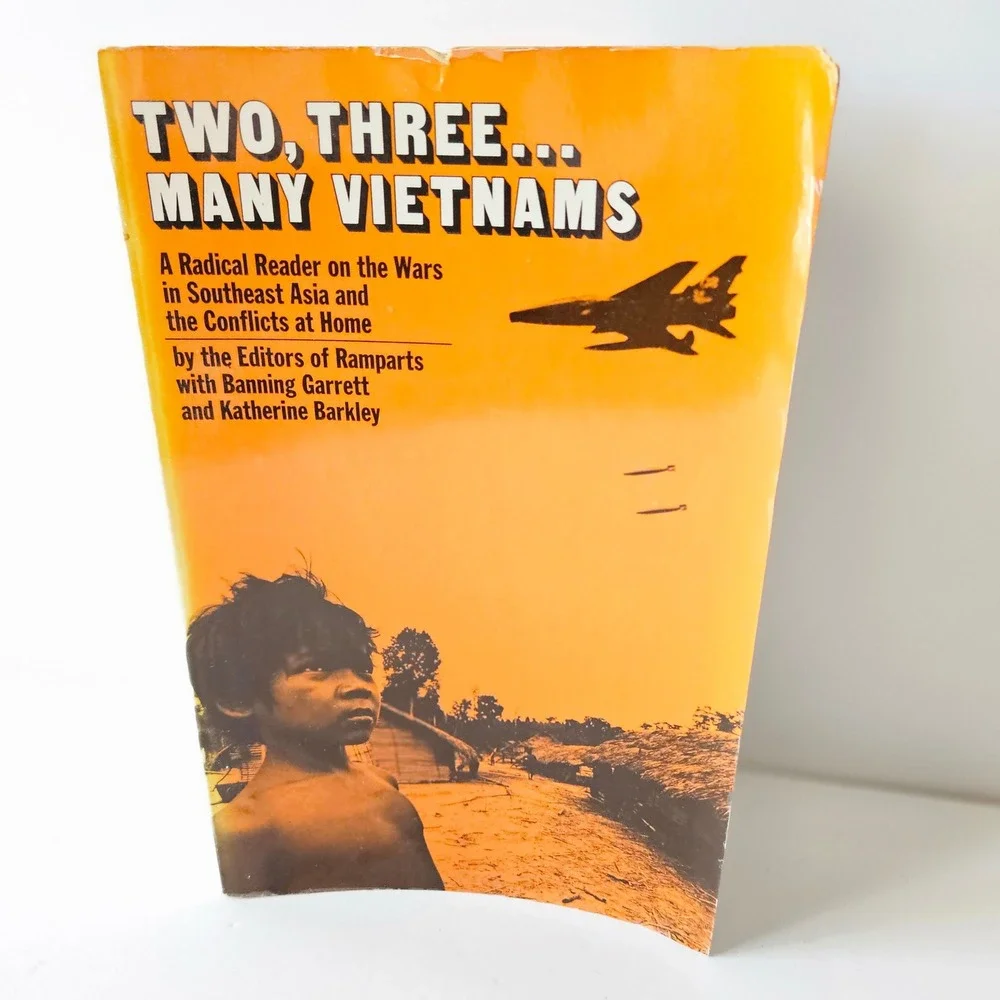 Two Three Many Vietnams: Radical Reader‎ Wars SE Asia by Garrett Barkley PB 1971